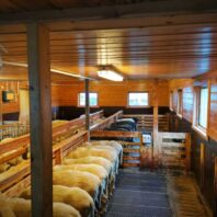 fjoskamera-landbruk-1280x960