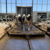 Advanced combischuif