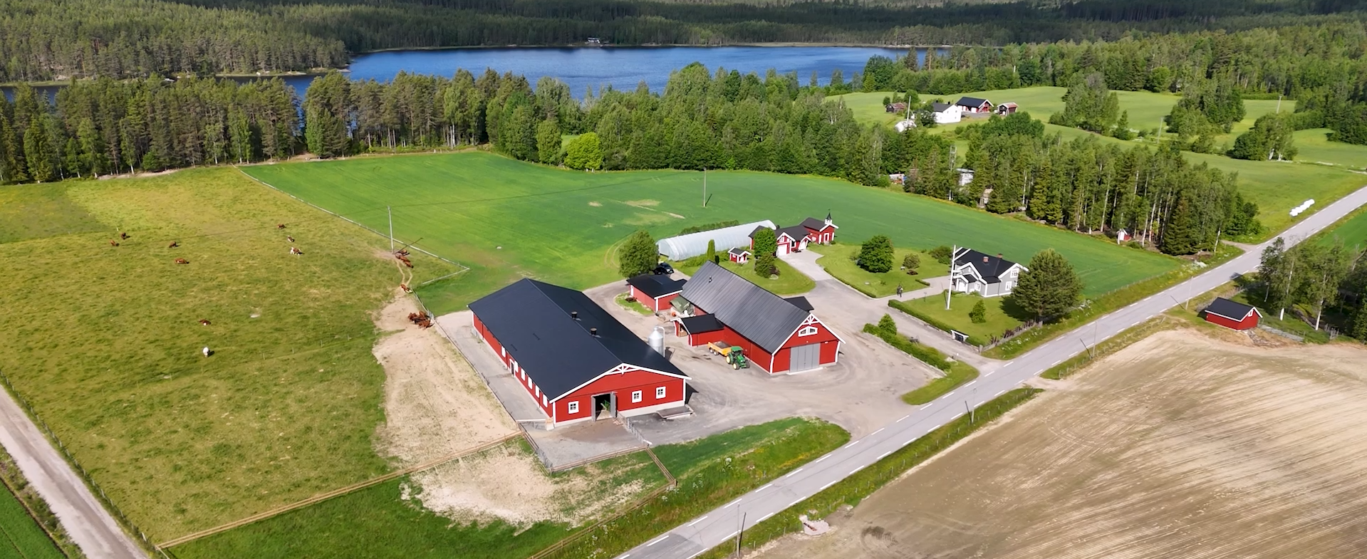 Melkefjøs, Åsnes