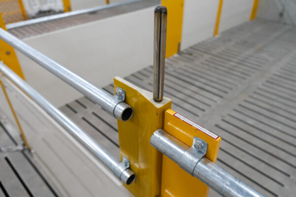 NewPenning2024_02 NewPenning2024_02