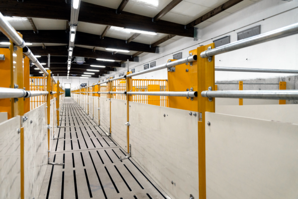 NewPenning2024_03 NewPenning2024_03