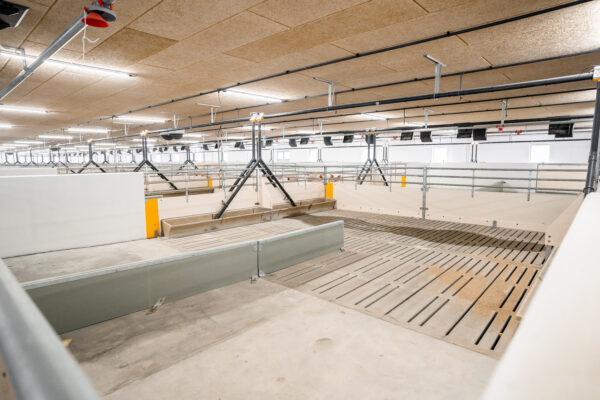 Skiold-0563 Skiold-0563