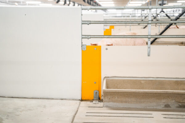 Skiold-0578 Skiold-0578