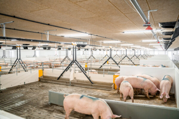 Skiold-0617 Skiold-0617