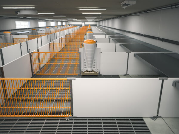 skiold penning (4) skiold penning (4)